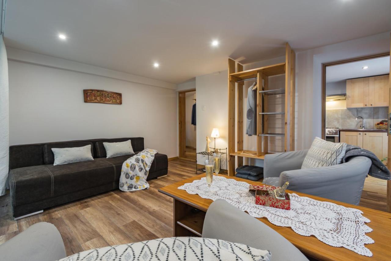 Pokoje I Apartamenty Centrum - Willa Bajeczka ザコパネ エクステリア 写真